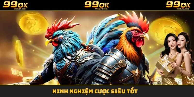 Gà Chọi Thomo 99OK - Cá Cược Đỉnh Cao Hầu Bao Đầy Tiền 3 Kinh nghiệm cược siêu tốt