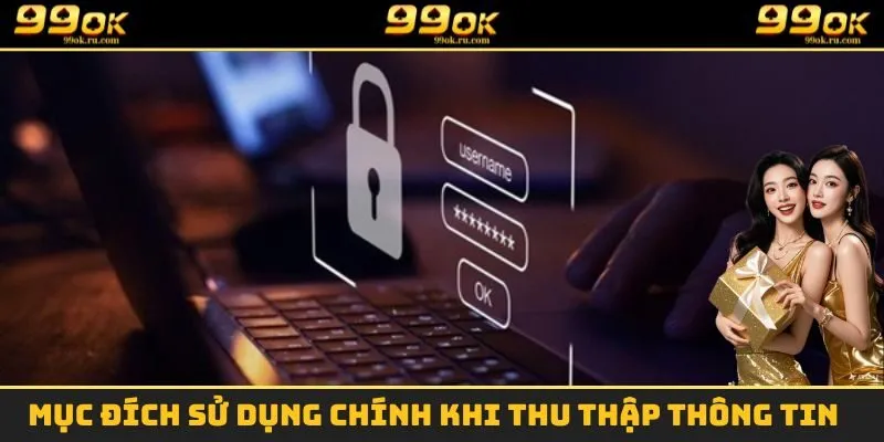 Mục đích sử dụng chính khi thu thập thông tin