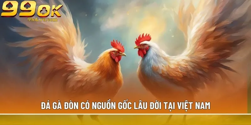 Đá gà đòn có nguồn gốc lâu đời tại Việt Nam